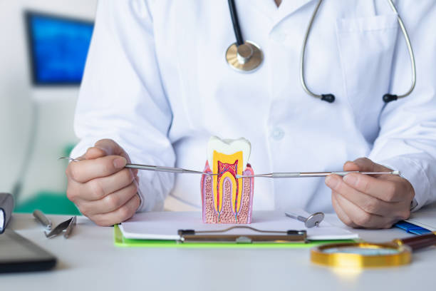 Best Emergency Dental Extractions in Kingston, TN